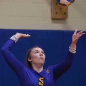 Meet your Posher, Alan